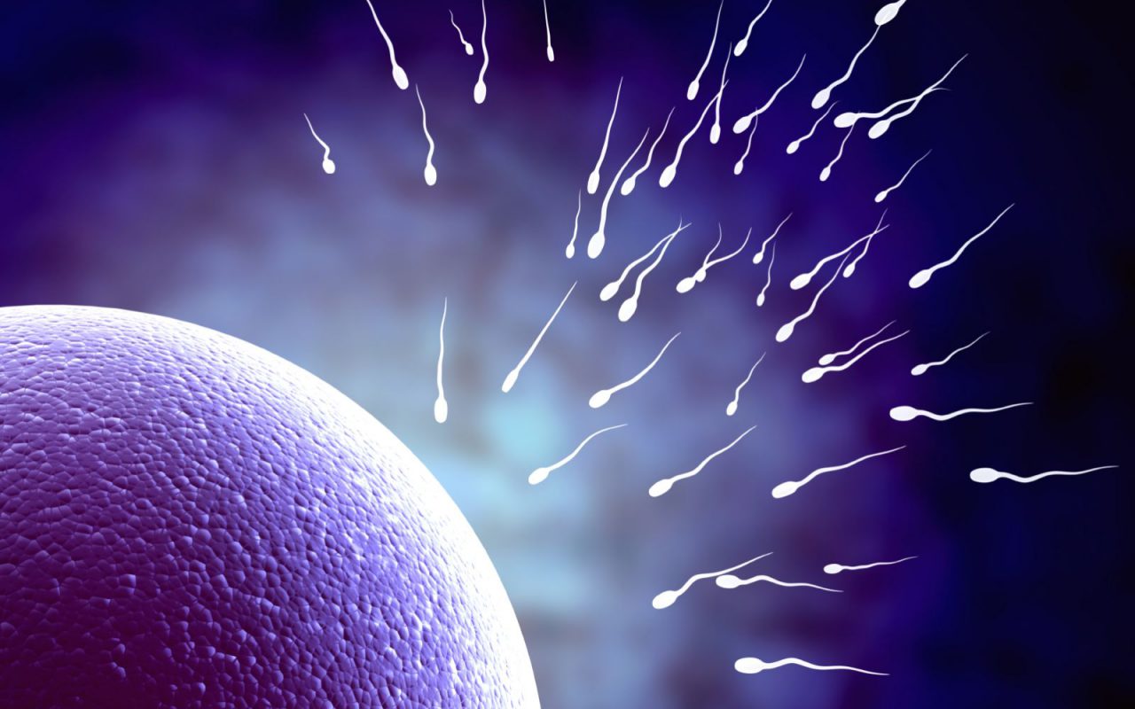 fertility-infertilty-concept-egg-spermistock_000017164686_medium
